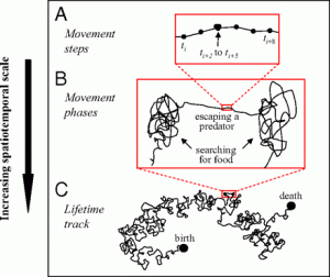 Figure 1 from Nathan et al. 2008