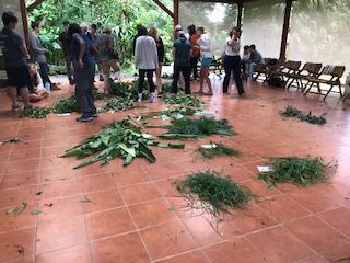 students in room with plants sorted into piles