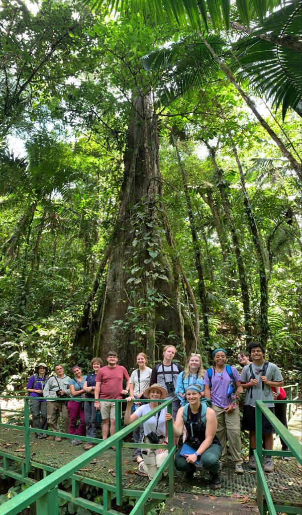 students pose in front of large tree