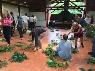 people sorting plants