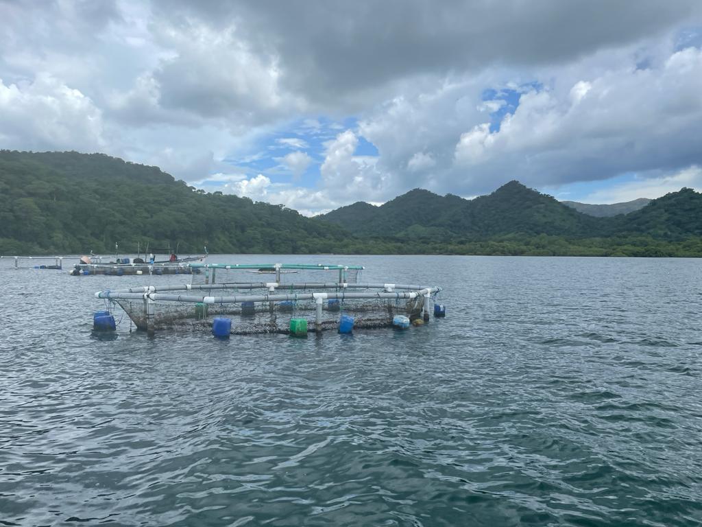 Aquaculture in Guanacaste